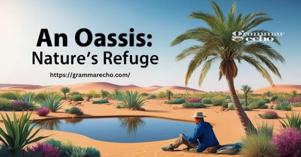 Plural of Oasis