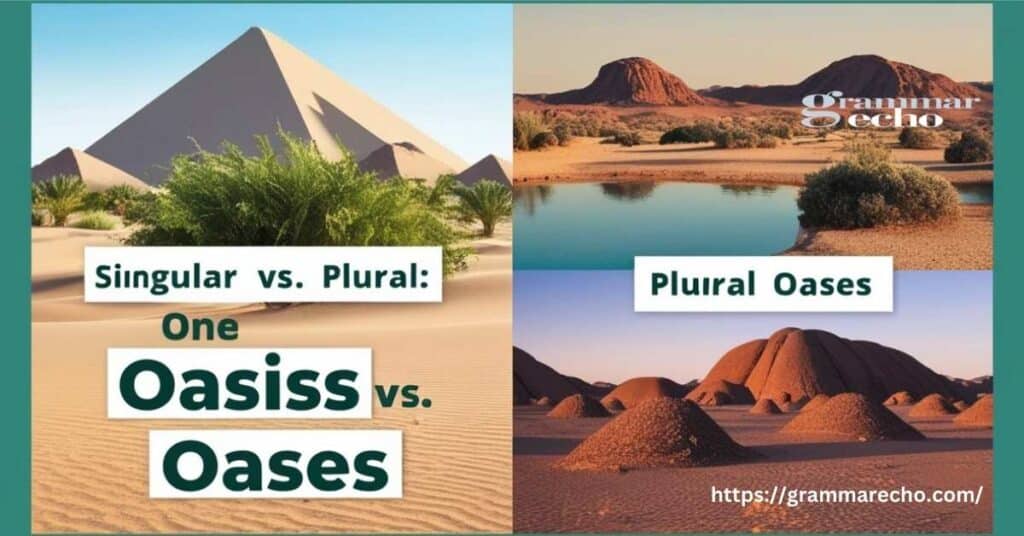 What is Plural of Oasis