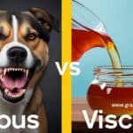 Vicious vs Viscous