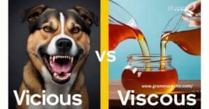 Vicious vs Viscous