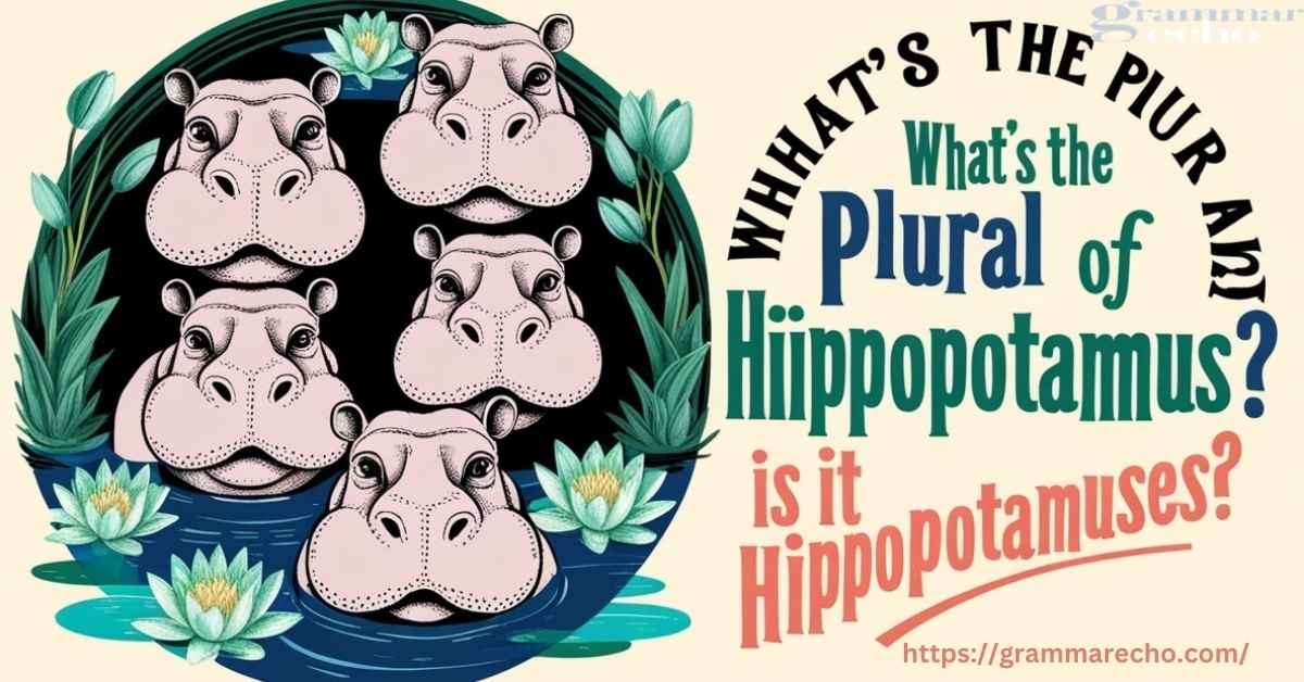 Plural of Hippopotamus