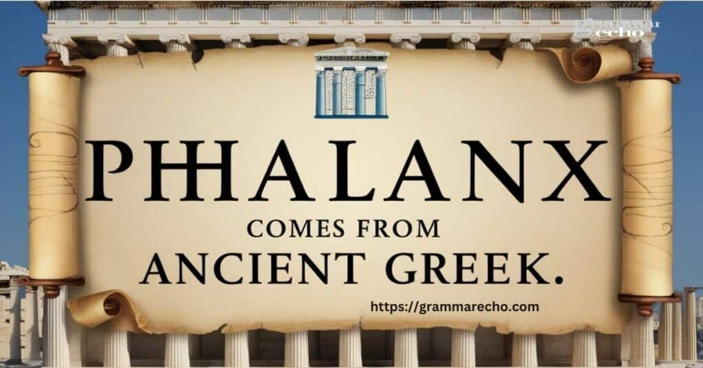 Origins of the Word “Phalanx”